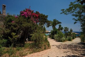 A stone pathway leading to a building with a chimney, surrounded by lush greenery and pink bougainvillea flowers. - Villa Artemis in Small Kounoupi Porto Heli (Porto Cheli)