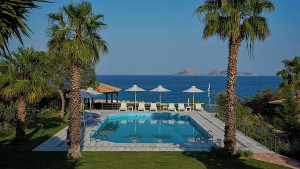 Area piscina con lettini e ombrelloni, circondata da palme e vista sul mare.