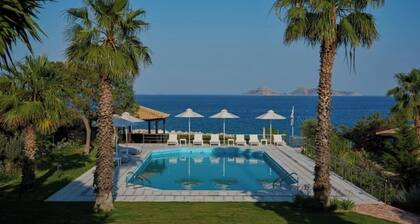 Villa Artemis in Small Kounoupi Porto Heli