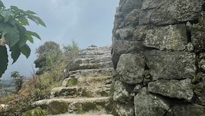 A stone staircase leading up a rocky hill, surrounded by vegetation. - Padangsari Cabin 2 (Kejajar)