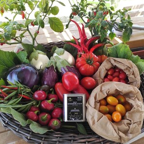 Exterior - Agriturismo Agricoccinella - Pool&Restaurant (Piombino)