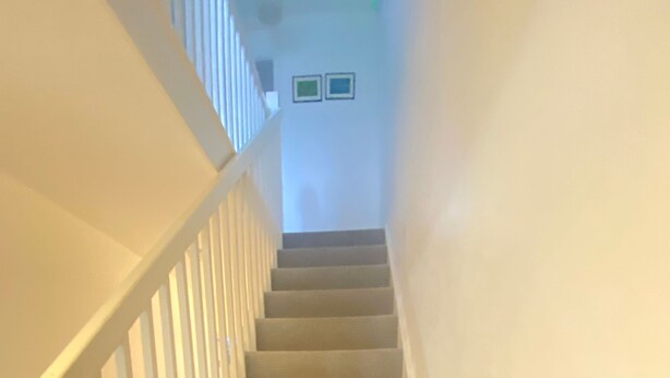 A staircase with white railings and beige carpeted steps. - Luxurious 5 Bedroom Home in Prime London Location (London)