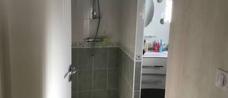 Regadera, secadora de cabello, jabón, papel de baño