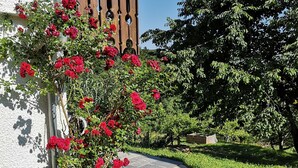 A pathway leading to a building with a white exterior and a wooden fence with circular cutouts. - Panoramic view apartment with infrared sauna in the middle of the Bavarian Sonnenwald (Grattersdorf)