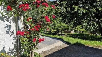 Details aan de buitenkant