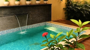 Una piscina con borde de azulejos, terraza de madera y plantas en macetas en la pared.