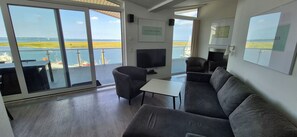 Télévision, cheminée, chaîne hi-fi