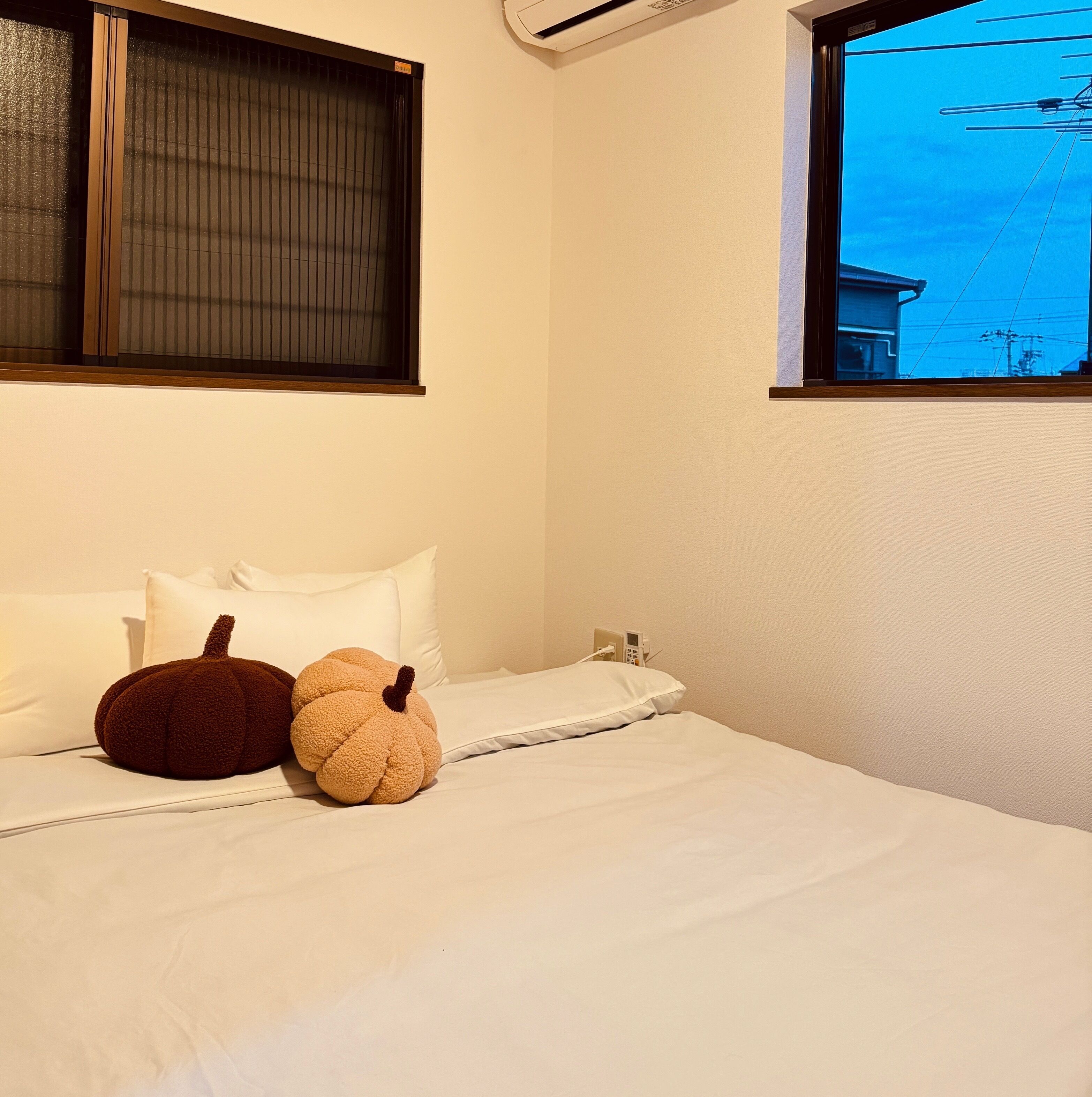 House, Balcony, City View | Free WiFi