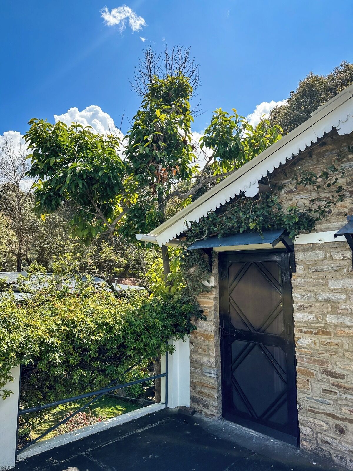 Servicio de la propiedad