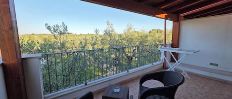 Rom – superior, 1 dobbeltseng | Terrasse/patio