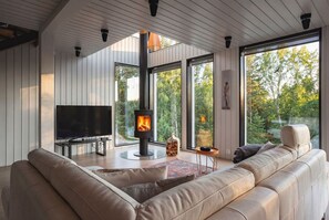 Televisión y chimenea 