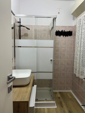 Shower, hair dryer, bidet, towels