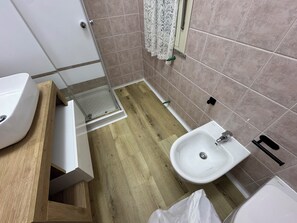 Shower, hair dryer, bidet, towels