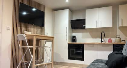 Le Relais - Appartement climatisé au coeur de Dijon