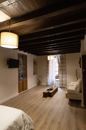 Iron/ironing board, WiFi, bed sheets - 16th century house with subway cellar located in the old town of Toro. (Toro)