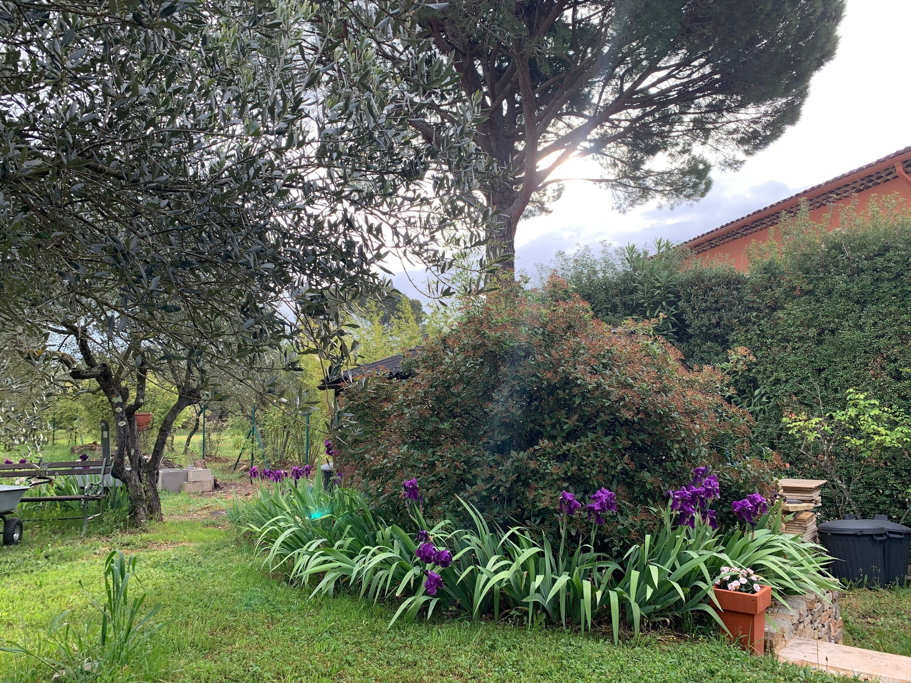 Parco della struttura