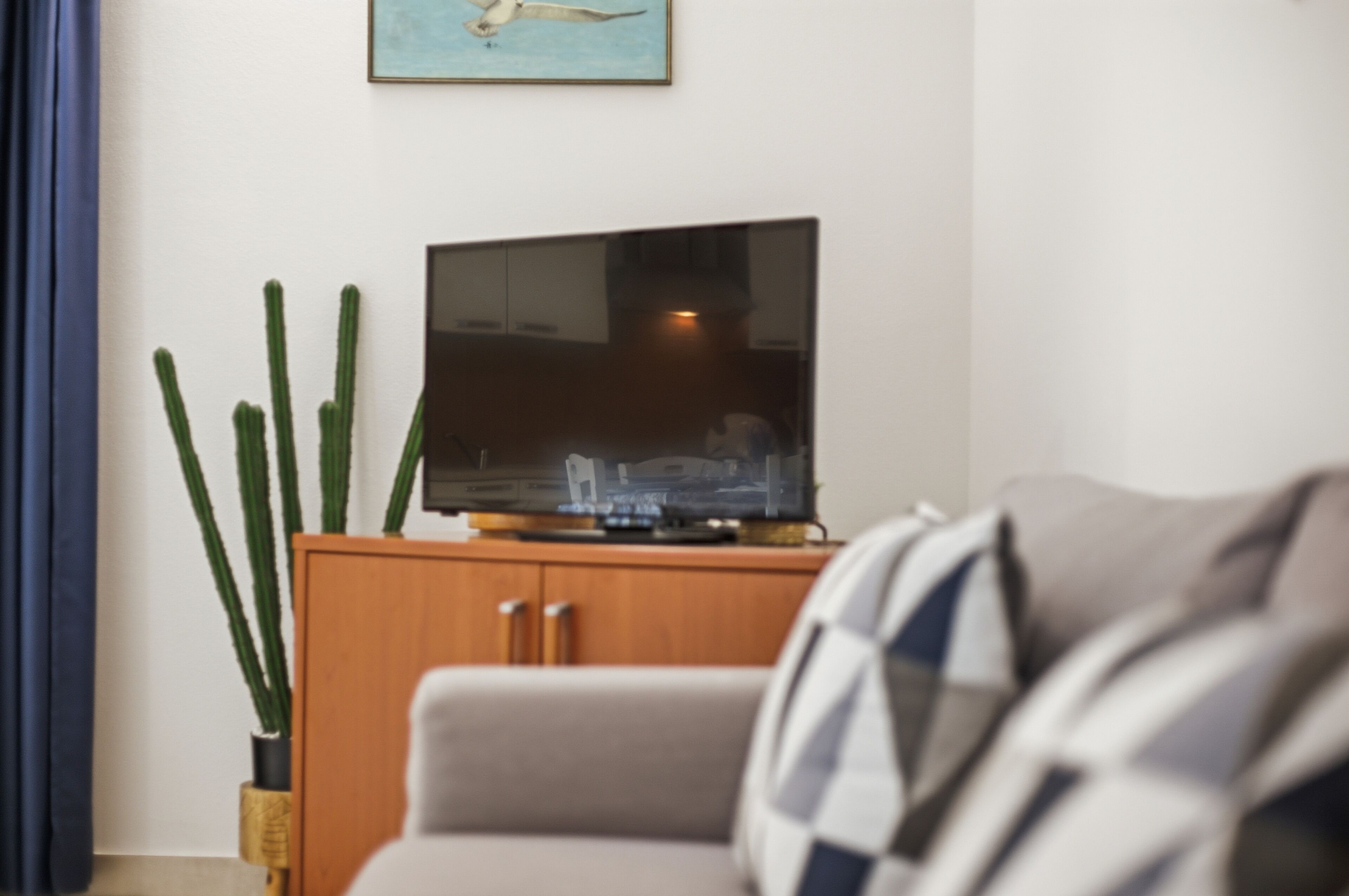 Ein Wohnzimmer mit einem Flachbildfernseher auf einer Holzkommode, einem Sofa und einer Säulencactus-Pflanze.
