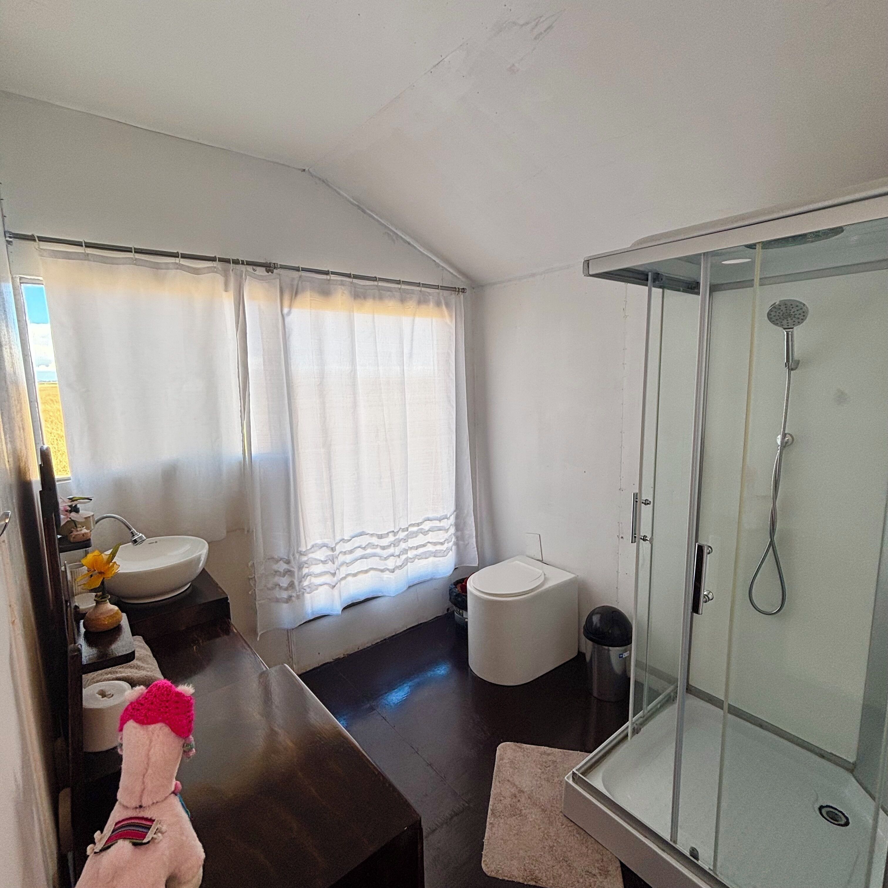 Shower, bidet, towels, soap