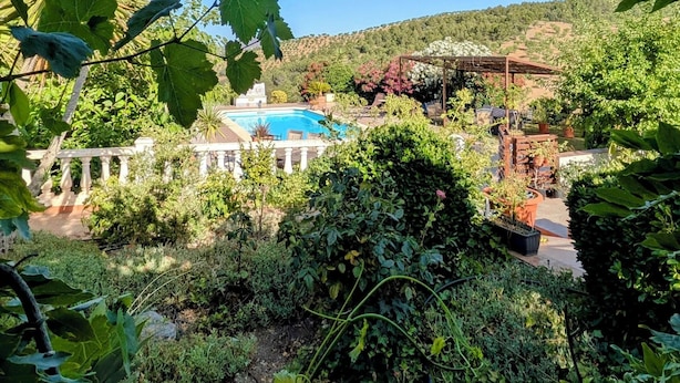A garden with a pool, surrounded by lush greenery and a clear blue sky.