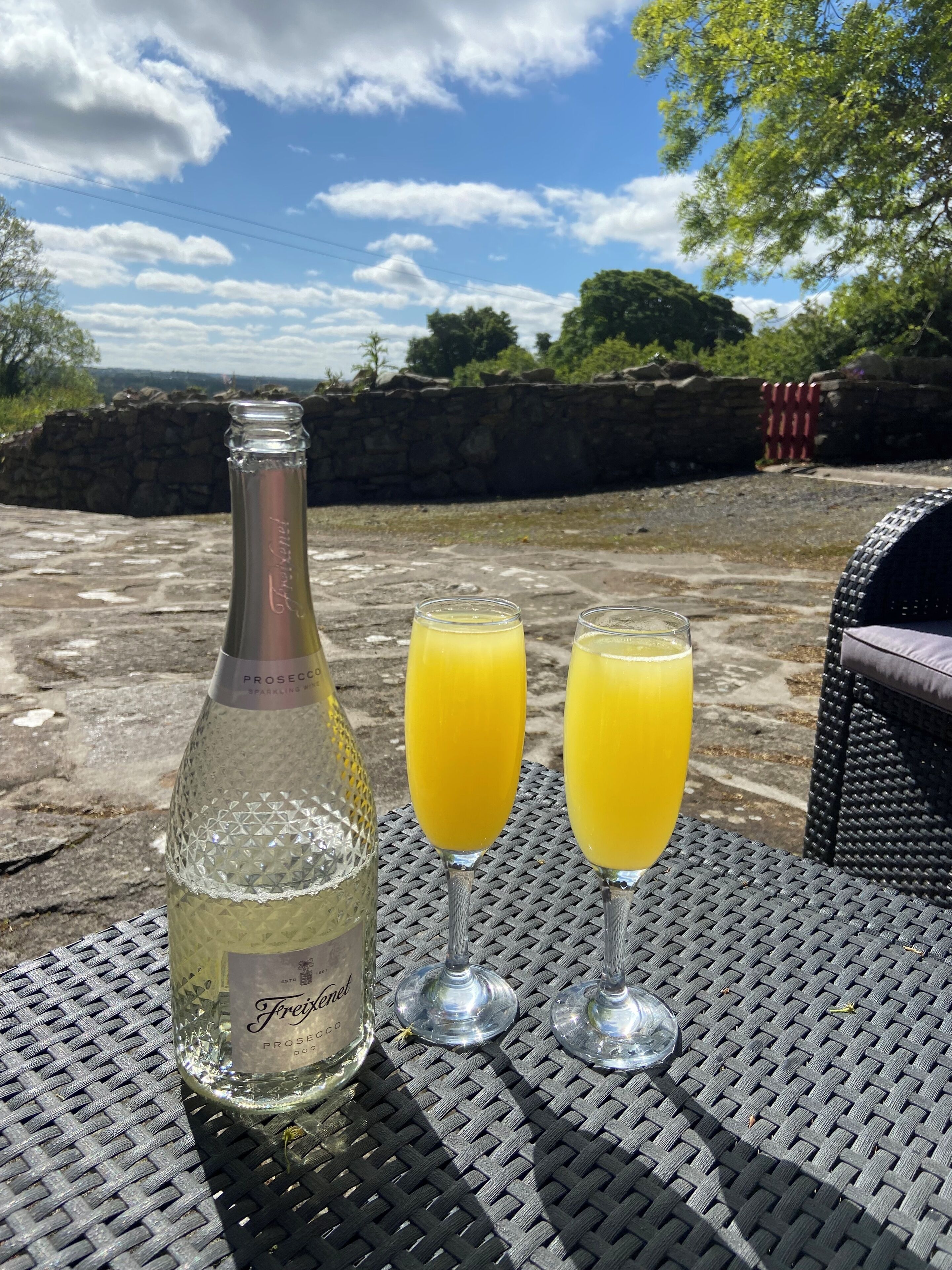 A bottle of Freixenet sparkling wine and two glasses of orange juice on a woven table outdoors.