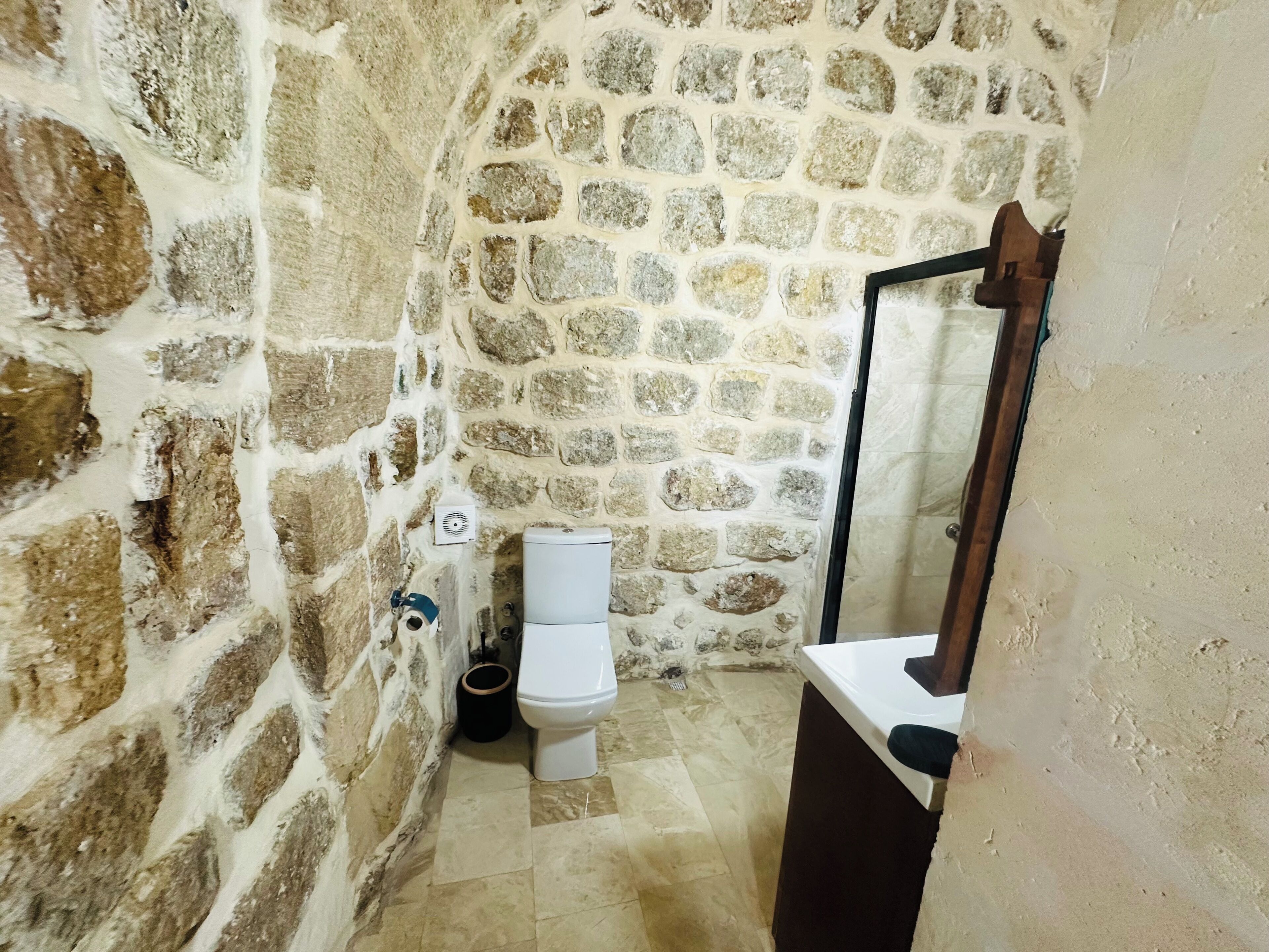 Une salle de bain avec des murs en pierre, des toilettes, un lavabo et un miroir.
