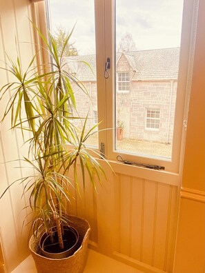 A corner with a potted plant, a window, and a view of a stone building. - The Hayloft at Brylach Steading, Speyside. (Aberlour)