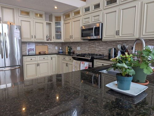 Waterfront home on stunning lake Cecebe luxury cathedral ceilings cozy fireplace