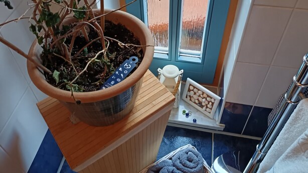 A bathroom with a potted plant, a towel rack, a small basket of towels, and a window with a view. - Apartment "Blütenlicht" with Mountain View, Shared Terrace and Wi-Fi (Hameln)