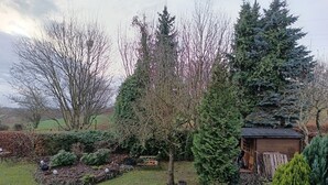 A garden with a variety of trees and shrubs, a small wooden structure, and a metal table. - Apartment "Blütenlicht" with Mountain View, Shared Terrace and Wi-Fi (Hameln)