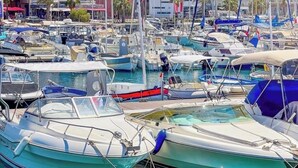Un puerto deportivo con varias embarcaciones amarradas, un edificio destacado con cúpulas al fondo y un cielo azul despejado.