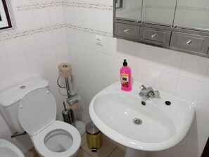 Bidet, serviettes fournies, savon, papier toilette