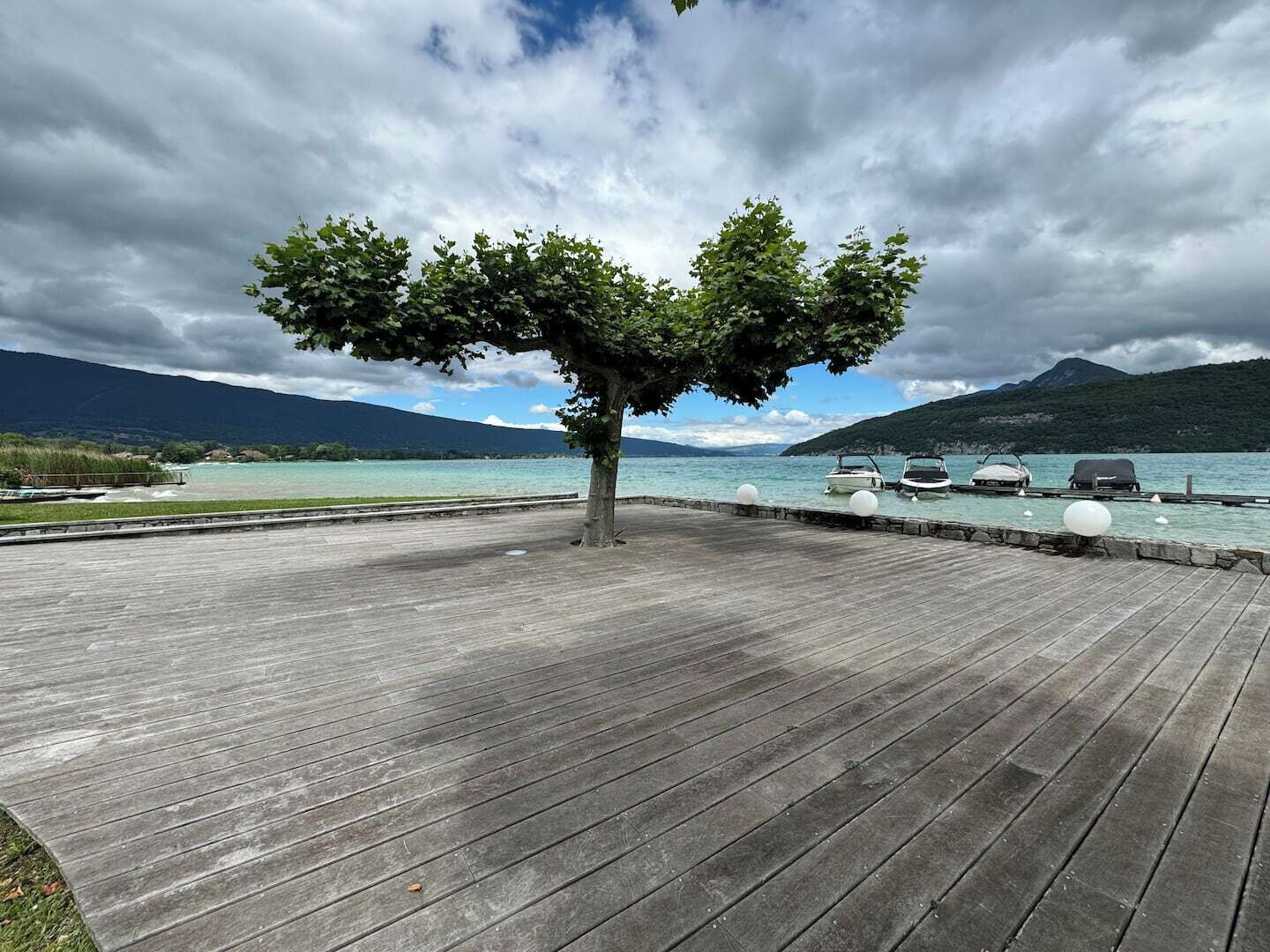 Terras