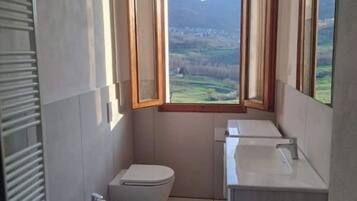 Shower, hair dryer, bidet, towels