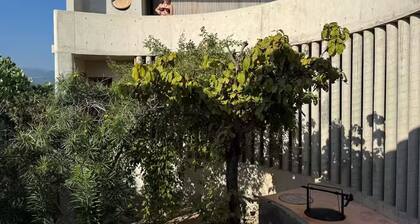 Casa O - As featured in Dwell-Escape by the Ocean