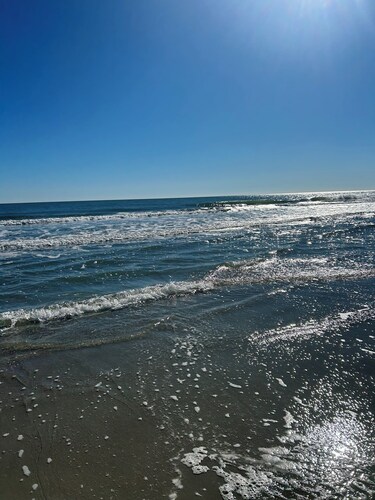 Cozy 1-bedroom studio in peaceful Conway with AC