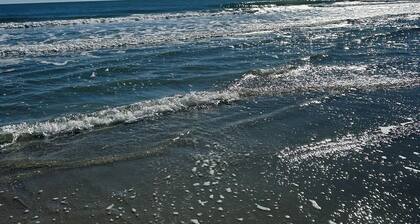 Cozy 1-bedroom studio in peaceful Conway with AC