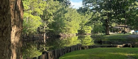 A park with a grassy area, trees, and a wooden fence.