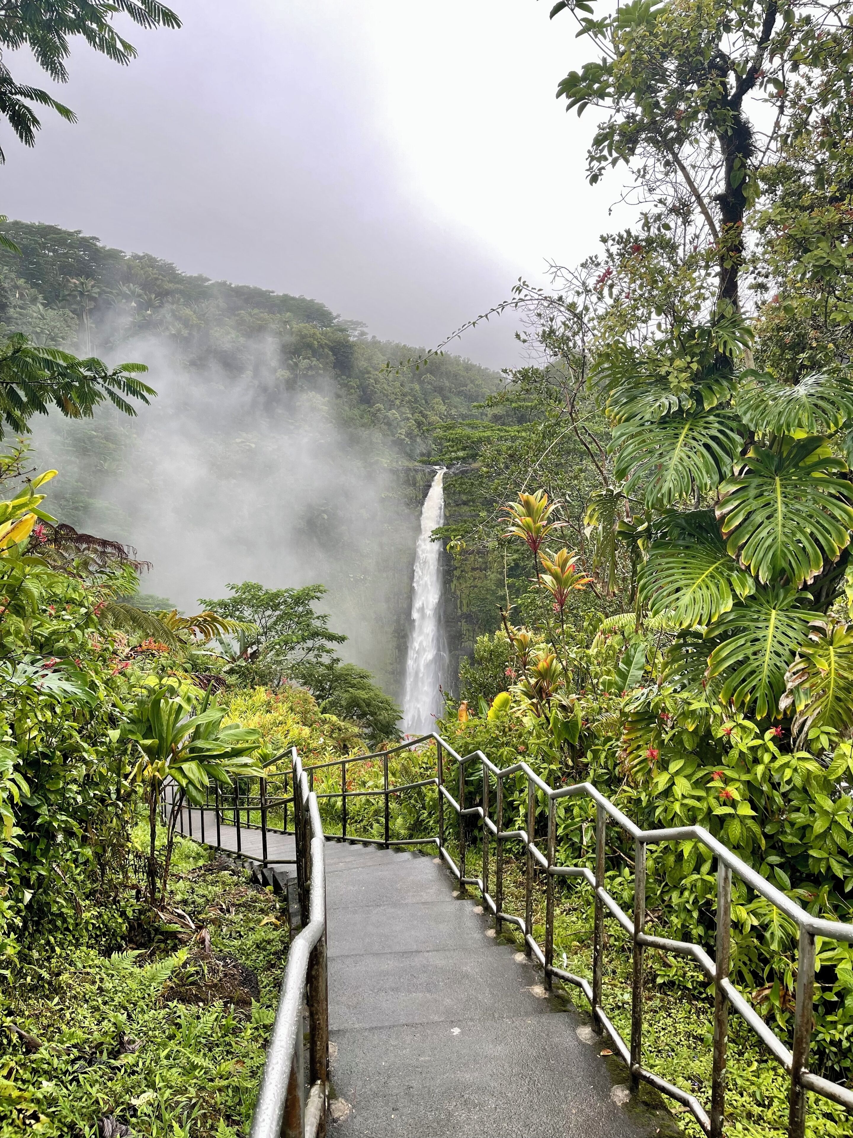 A pathway leading to a waterfall surrounded by lush greenery.