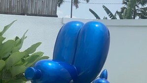 A blue sculpture resembling a dog in a grassy outdoor area. - 2-bedroom villa, huge pool, close to ubud center (Ubud)