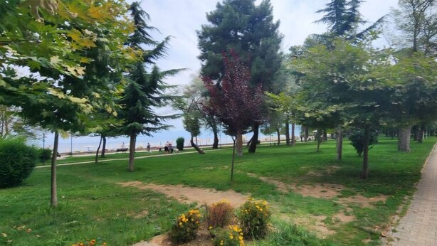 Un parc doté d’un chemin pavé, d’arbres et d’une pelouse.
