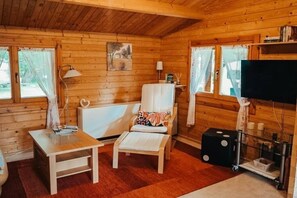 تلفزيون، مدفأة، كُتُب