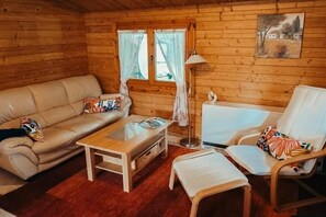 Televisión, chimenea y libros 