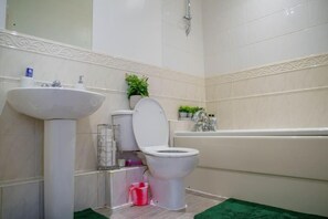 Shower, hair dryer, towels, toilet paper