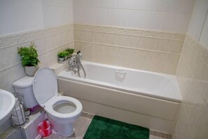 Shower, hair dryer, towels, toilet paper