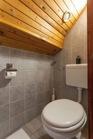 Bathroom - POHORSKI DOM (Maribor)