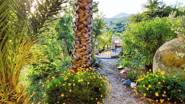A garden pathway with a palm tree, yellow flowers, and a stone lantern. - Chestnut Apartment Four Poster (Vélez-Rubio)