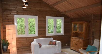 Quietly located chalet in a communal garden, on the river Waal.