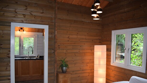 L’intérieur d’une cabane en rondins, avec un décor en bois, un coin cuisine doté de meubles en bois, une petite table d’appoint en bois sur laquelle est posée une plante, un canapé blanc avec un coussin et un grand lampadaire.