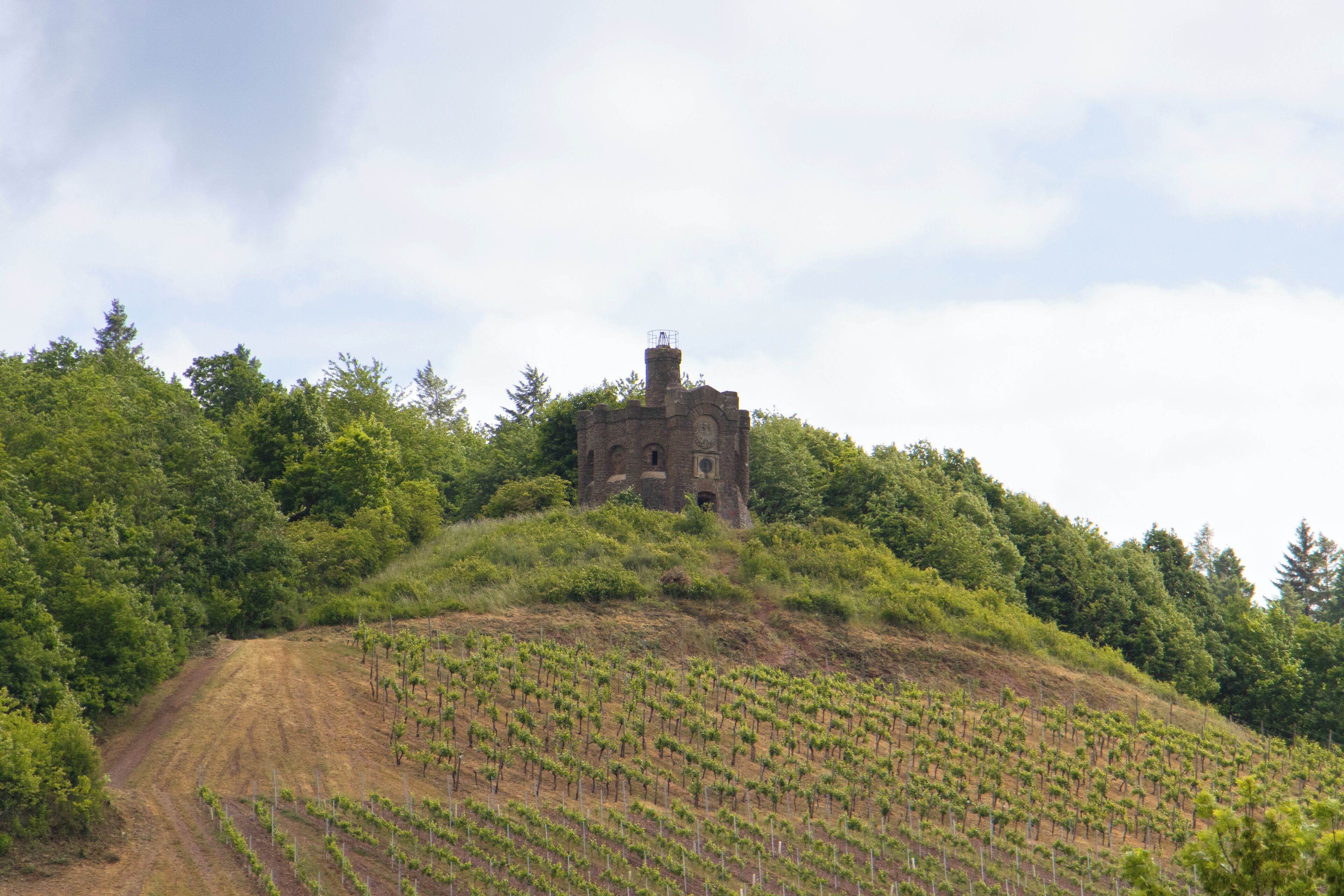 A historic stone building on a hill with a vineyard in the foreground.
