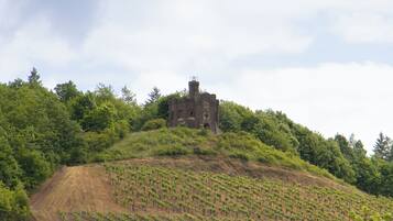 A historic stone building on a hill with a vineyard in the foreground.